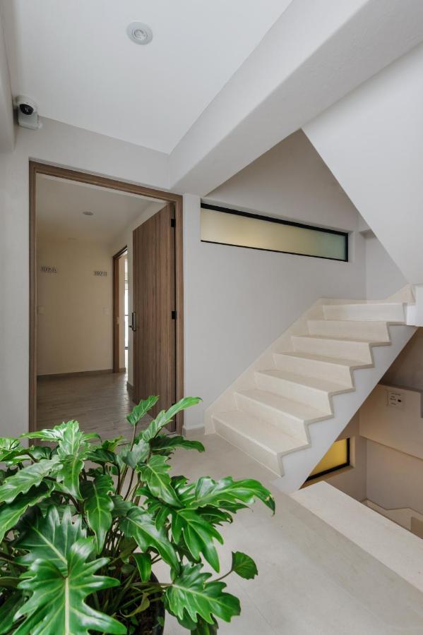 Choapan 28 - Lux Apartments In Condesa メキシコシティ エクステリア 写真